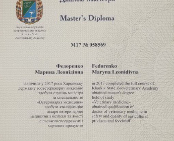 Сертификат 1