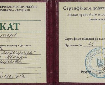 Сертификат 2