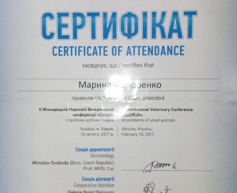 Сертификат 4