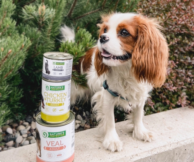 Зв&amp;rsquo;яжіться з нами