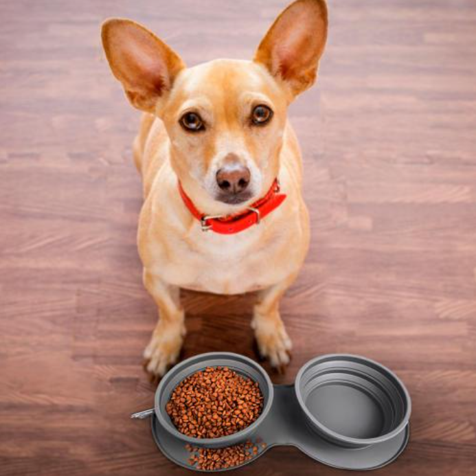 Беззерновий сухий корм для собак