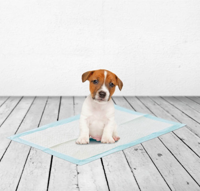 пелюшки одноразові для собак пелюшки одноразові для собак