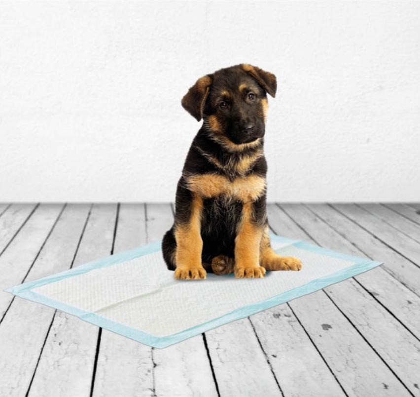 одноразові пелюшки для собак одноразові пелюшки для собак