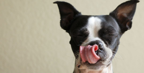 Секрети вибору магазинних ласощів: на що звертати увагу