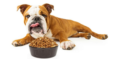 Корм для собак супер-преміум: огляд