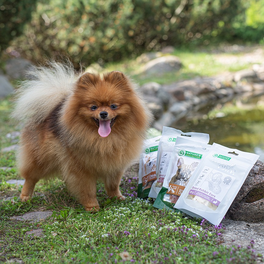 Які ласощі обрати саме вашому собаці