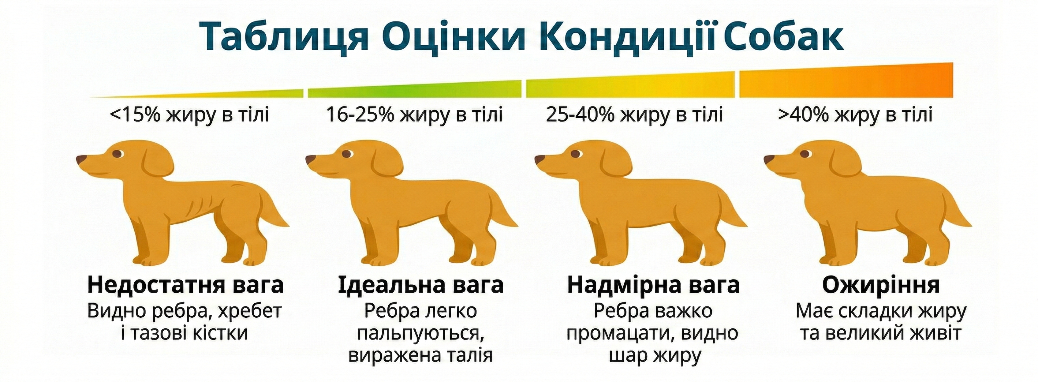 таблиця кондиції собак
