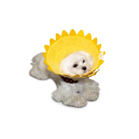 MISOKO Захисний комір Соняшник, XL, 35-46 cm - 1