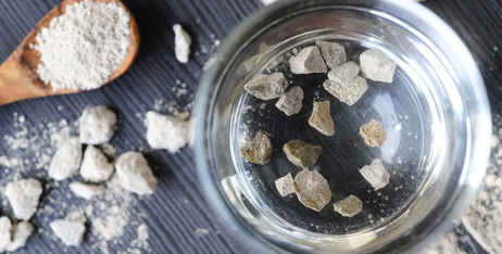 MicroZeoGen: прихований супергерой у мисці вашого улюбленця