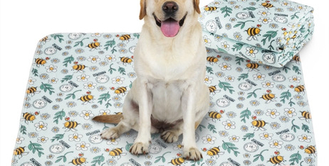 Багаторазові пелюшки для домашніх тварин: екологічне рішення та комфорт ваших вихованців