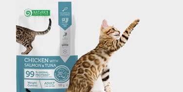 Вологий корм у паучах для домашніх тварин: користь, що смакує