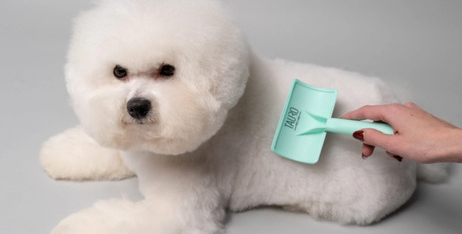 Що потрібно знати про щітки для вичісування домашніх тварин