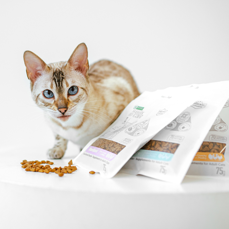 корисні ласощі для котів