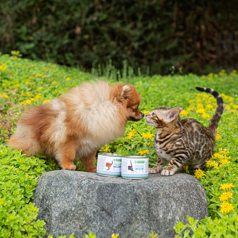 вологий корм для цуценят