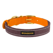 Barksi Нашийник для собак Брезент + Шкіра з металевою пряжкою рудий з черрі, розмір XL - 2