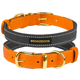 Barksi Нашийник для собак Брезент + Шкіра з металевою пряжкою рудий з графітовим, розмір M