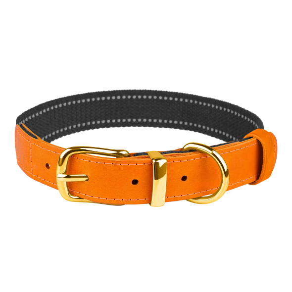 Barksi Нашийник для собак Брезент + Шкіра з металевою пряжкою рудий з графітовим, розмір M - 1