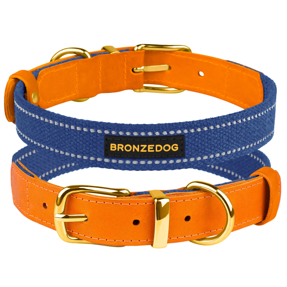 Barksi Нашийник для собак Брезент + Шкіра з металевою пряжкою рудий з синім, розмір L