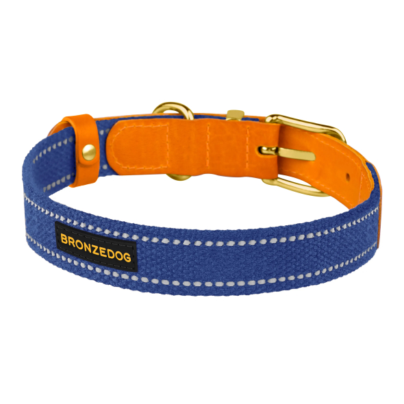 Barksi Нашийник для собак Брезент + Шкіра з металевою пряжкою рудий з синім, розмір L - 3