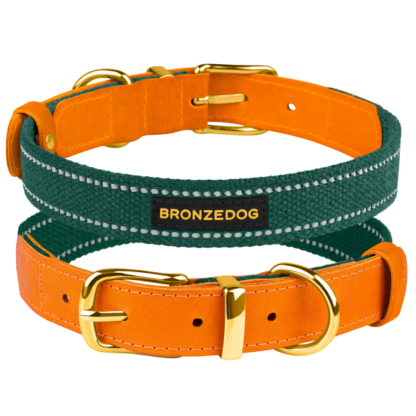 Barksi Нашийник для собак Брезент + Шкіра з металевою пряжкою рудий з зеленим, розмір XL