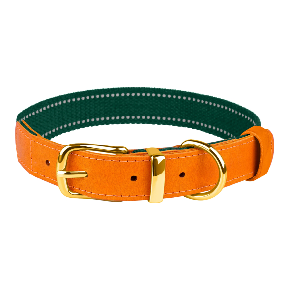 Barksi Нашийник для собак Брезент + Шкіра з металевою пряжкою рудий з зеленим, розмір XL - 1