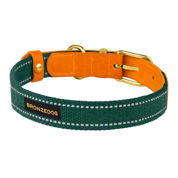 Barksi Нашийник для собак Брезент + Шкіра з металевою пряжкою рудий з зеленим, розмір XL - 3