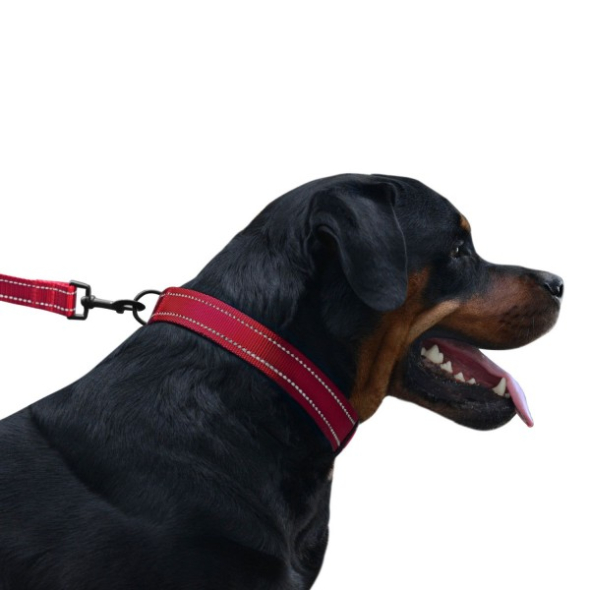 Barksi Active Повідець для собак зі світловідбиттям червоний, розмір S - 3