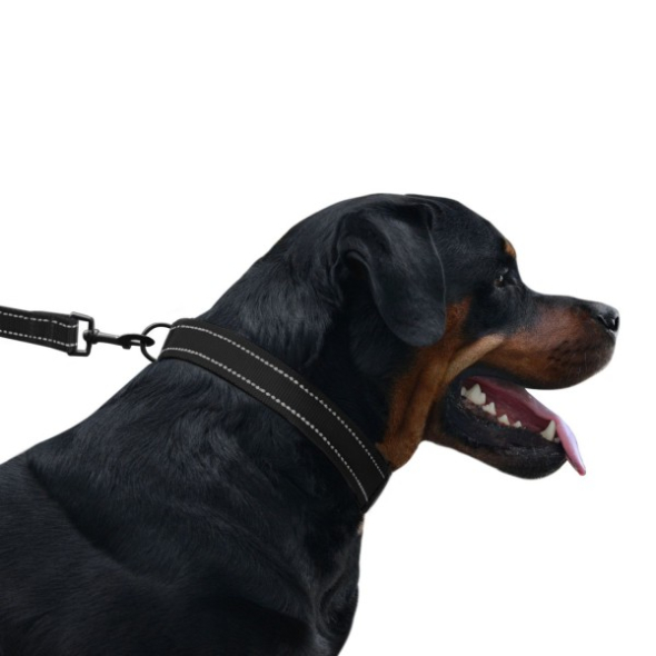 Barksi Active Повідець для собак зі світловідбиттям чорний, розмір М - 5