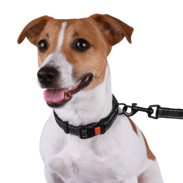 Barksi Active Повідець для собак зі світловідбиттям чорний, розмір М - 4