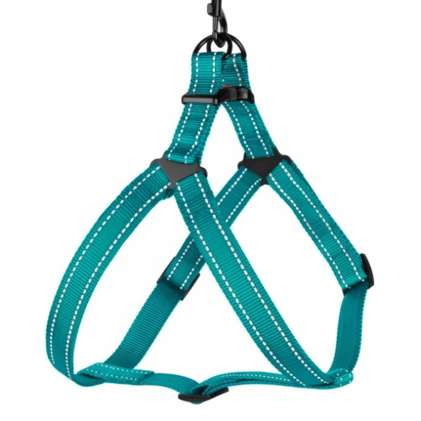 Barksi Active Шлея для собак зі світловідбиттям бірюзова, розмір M