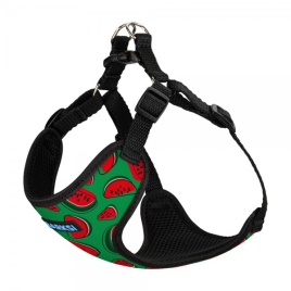 Barksi Sport Шлея для собак дрібних порід Кавун, розмір S