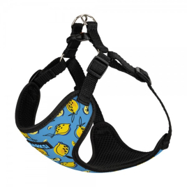 Barksi Sport Шлея для собак дрібних порід Лимони, розмір M