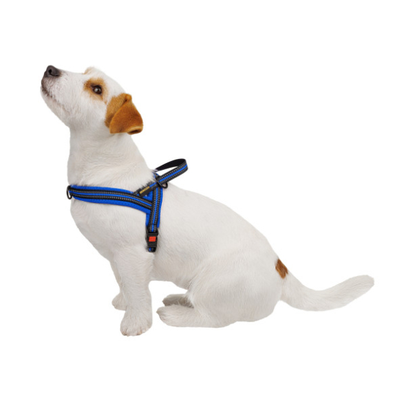 Barksi Mesh Шлея для собак Скандинавська синя, розмір L - 1