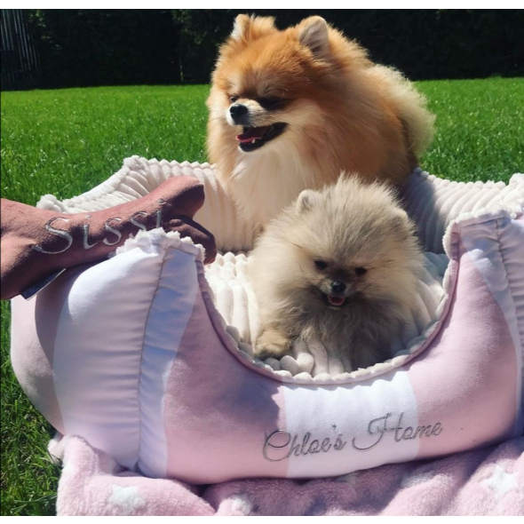 Chloe's Home Лежак для домашніх тварин Monte Carlo рожевий S - 1