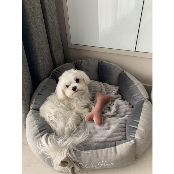 Chloe's Home Лежак для домашніх тварин Багамські острови сірий S - 1