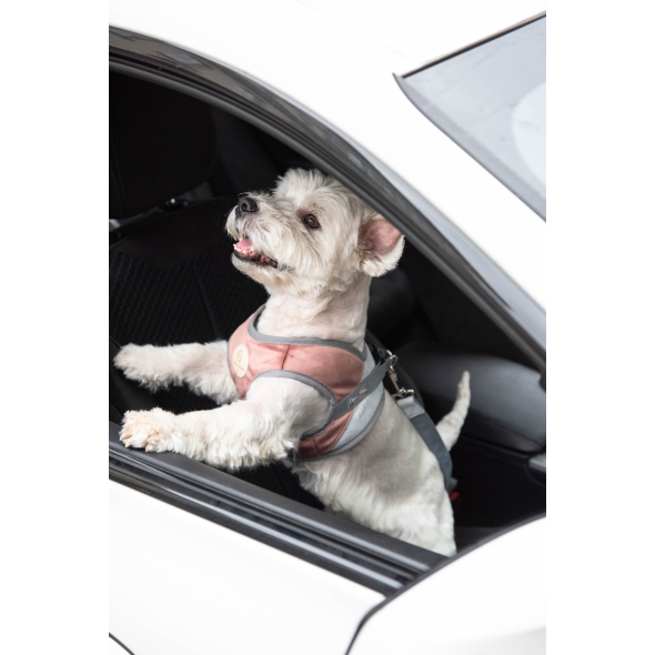 Chloe's Home Ремінь безпеки автокрісла Paris чорний - 1