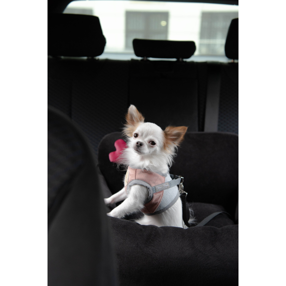 Chloe's Home Автокрісло для собак Paris чорне - 2