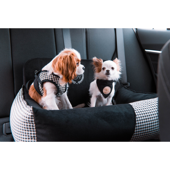 Chloe's Home Автокрісло для собак подвійне Porto black - 1