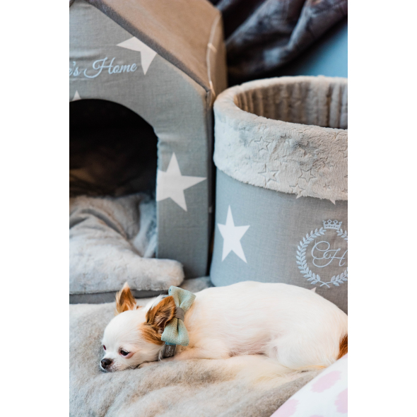 Chloe's Home Нашийник-метелик для собак Багамські острови синій S - 1