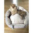Chloe's Home Лежак для домашніх тварин Берлін екрю М - 1