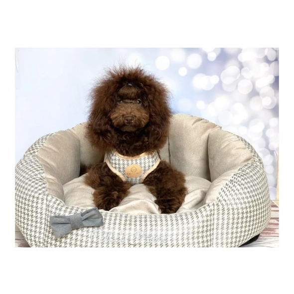 Chloe's Home Шлея для собак Berlin екрю XS - 2