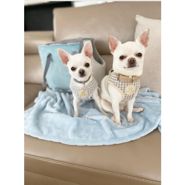 Chloe's Home Шлея для собак Berlin екрю S - 2