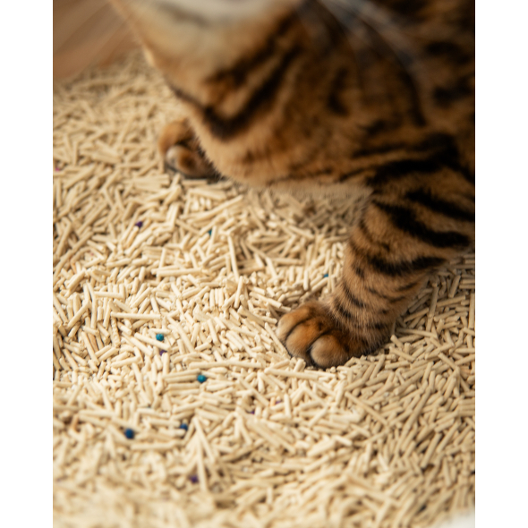 VELVET PAW TOFU Наповнювач для котячих туалетів з бентонітом, оригінальний, гранули 2 мм, 6 л/2,6 кг - 5