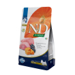 Farmina N&amp;D Pumpkin GF Lamb&amp;Blueberry Adult Mini Беззерновий сухий корм з ягням, гарбузом і чорницею для собак малих порід, 800 г