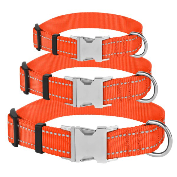 Barksi Active Нашийник для собак зі світловідбиттям і металевою пряжкою кораловий, розмір XS - 5