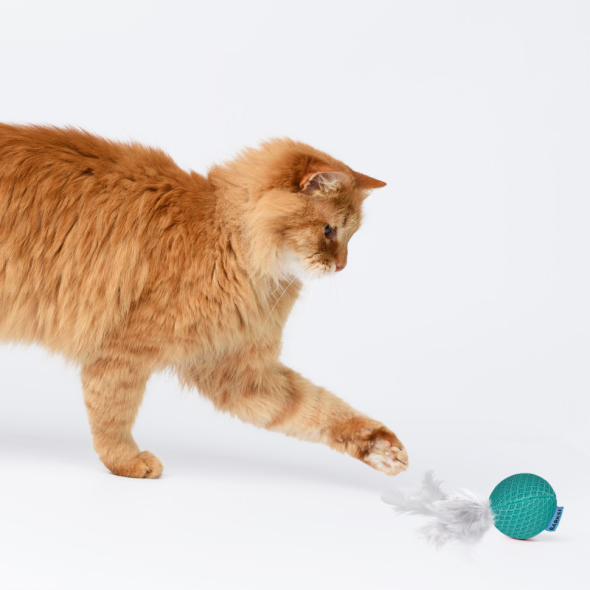 Barksi Іграшка для котів м'яч з дзвіночком та пір'ям ментоловий, 5 см - 1