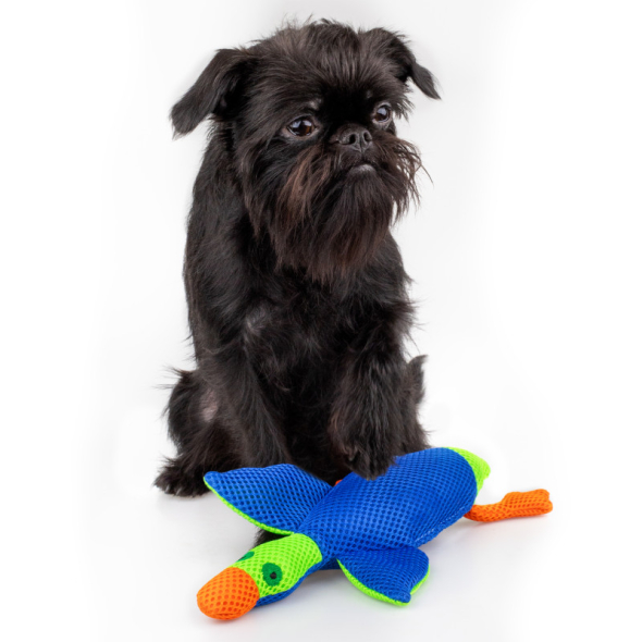 Barksi Іграшка для собак качка з пищалкою синя, 28 х 16 см - 1