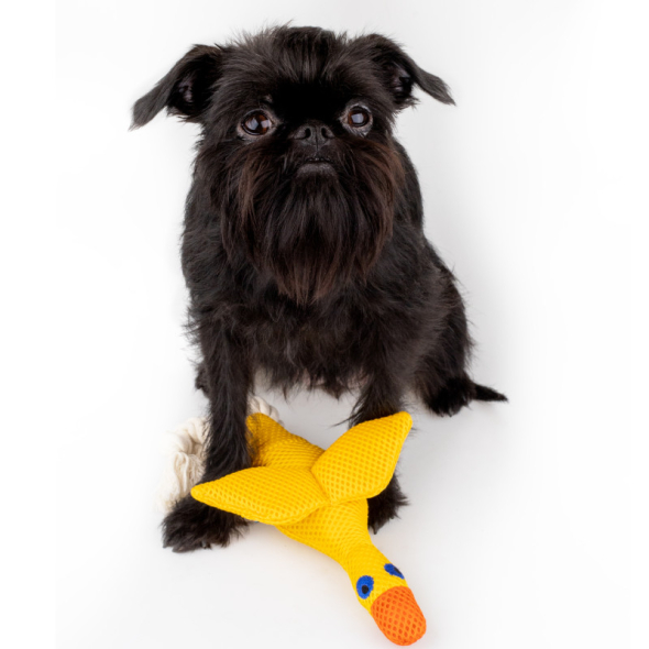 Barksi Іграшка для собак качка з пищалкою жовта, 21 х 14 см - 2
