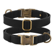 Barksi Antiq Нашийник для собак шкіряний плоский чорний, розмір M