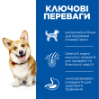 Hill’s Science Plan Adult Small&amp;Mini Сухий корм для дорослих собак малих і мініатюрних порід з ягням і рисом 1,5 кг - 1